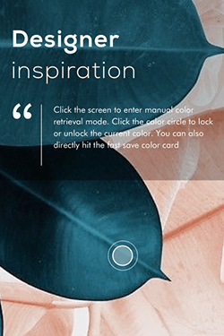 Hosting Company Layout Preview